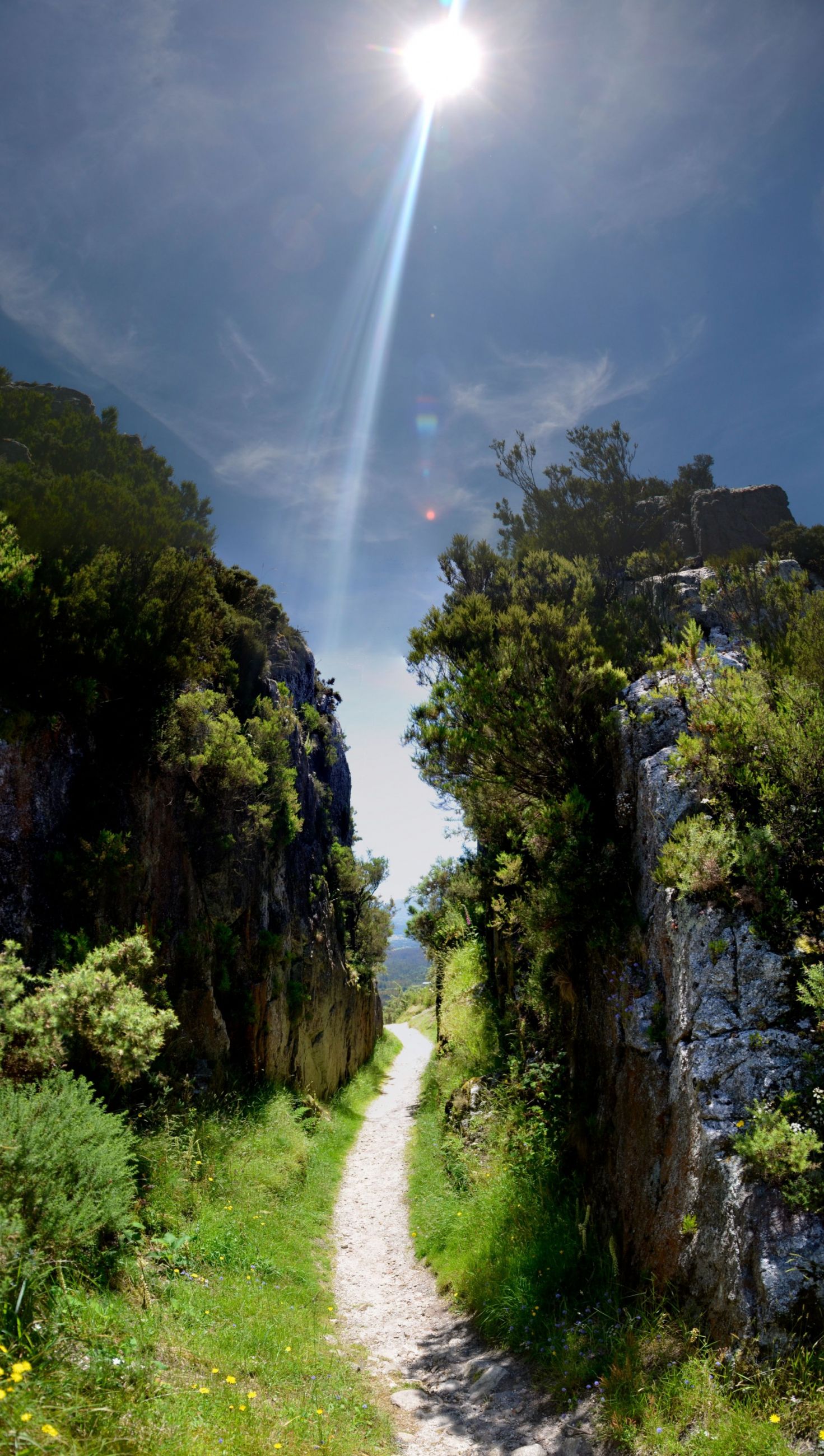 pico sacro camiño